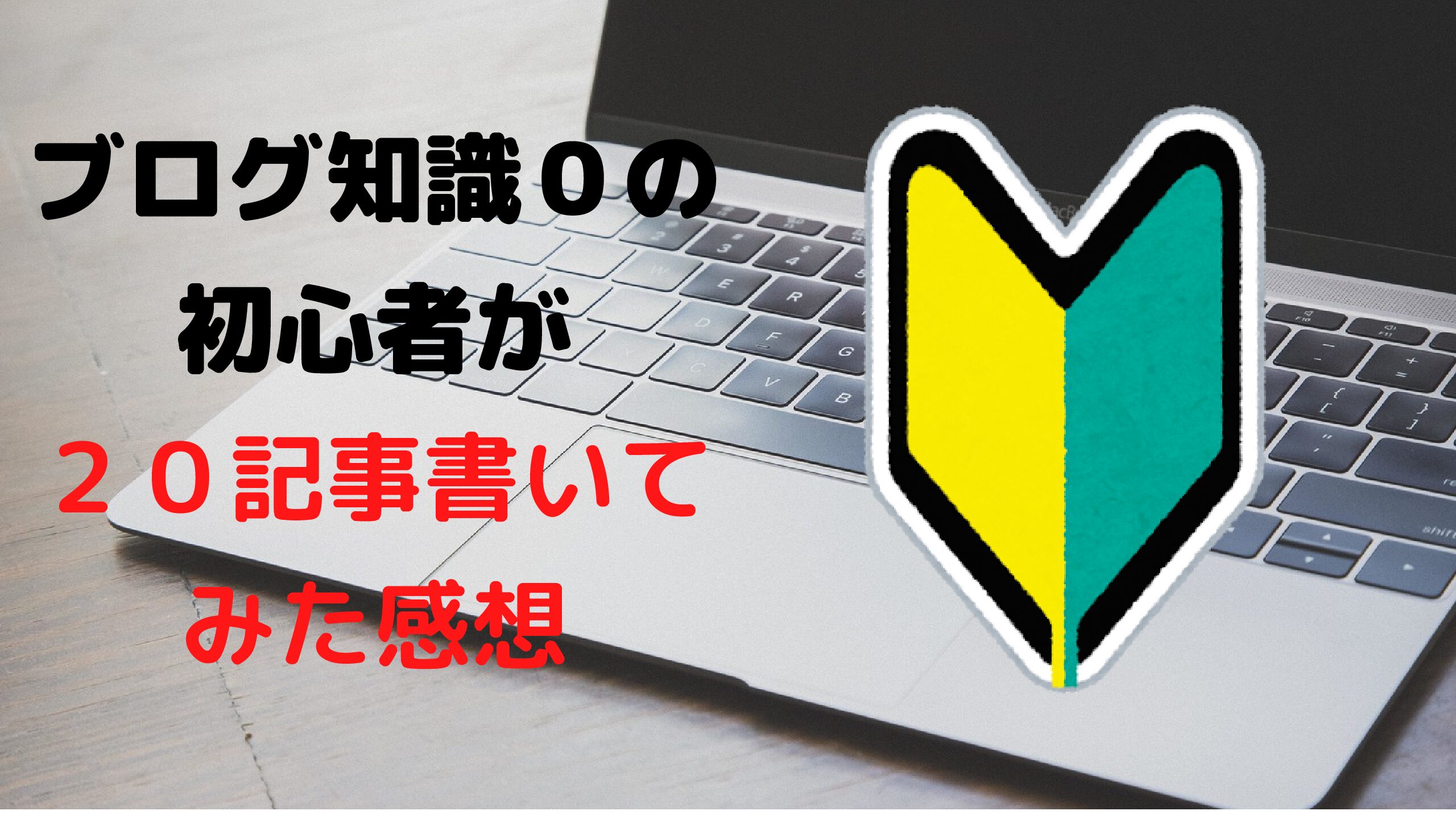 体験談 ブログ知識０の初心者が ２０記事書いてみた感想 Fラン下克上ブログ